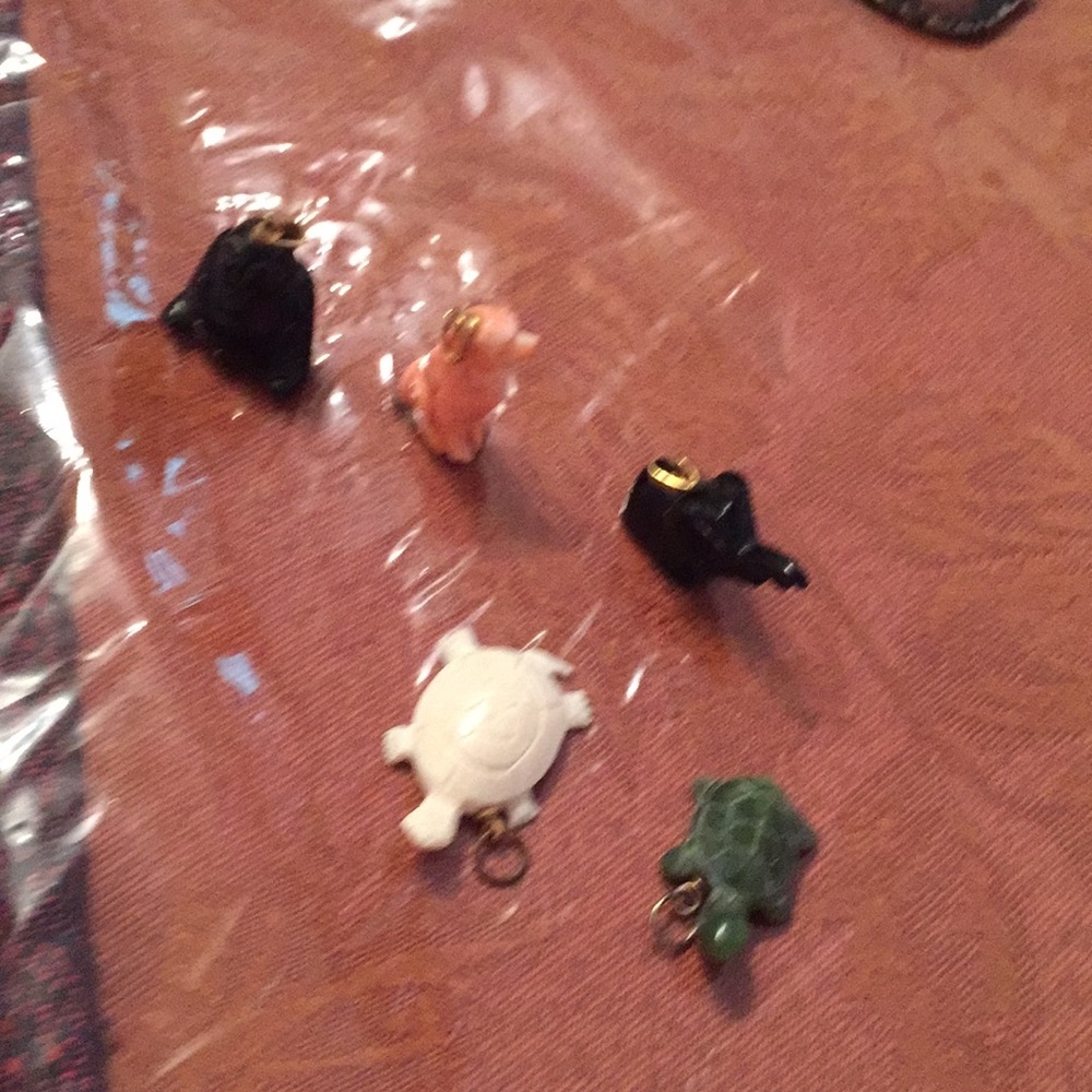 5 charms for $25